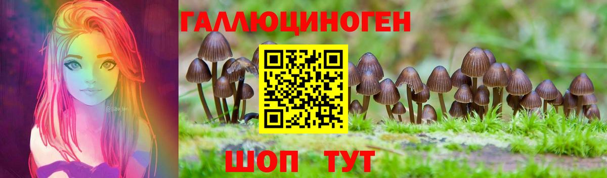 Зима  Галлюциногенные грибы мухоморы  Вход с VPN 